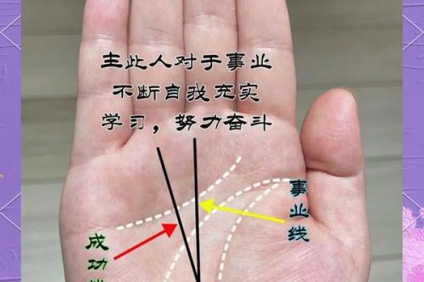 揭秘y纹手相的惊人秘密手相大师教你一眼看穿命运