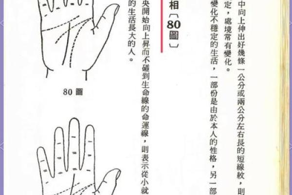 掌中藏富贵，一观筋脉辨人生：揭秘手相奥秘，揭秘你的命运密码