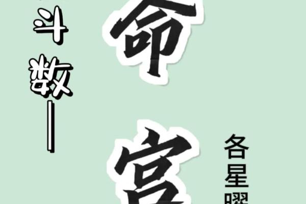 九七紫微星命