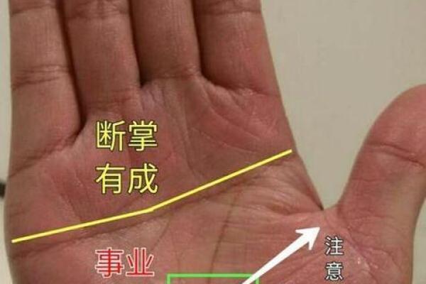 揭秘富贵手相：图片大全带你领略财运亨通的秘密