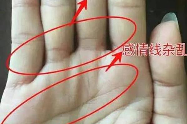 揭秘富贵手相：图片大全带你领略财运亨通的秘密
