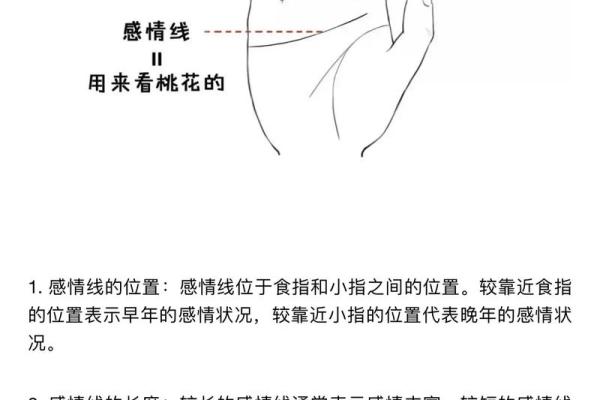 揭秘：手相中的桃花运密码，让你的爱情运势翻倍飙升