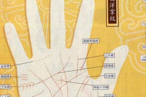 手相揭秘：官印在手，富贵在望