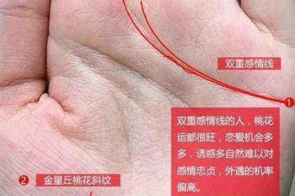 手相揭秘：官印在手，富贵在望
