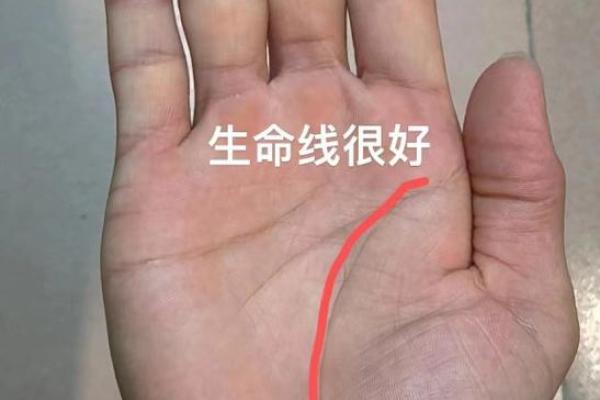 揭秘手相生命线，揭秘你的运势密码
