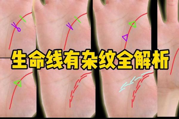 揭秘手相生命线，揭秘你的运势密码