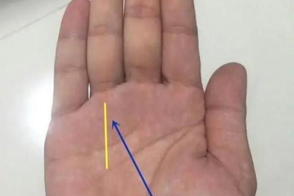 揭秘神奇手相：揭秘像眼睛的手相背后的神秘力量