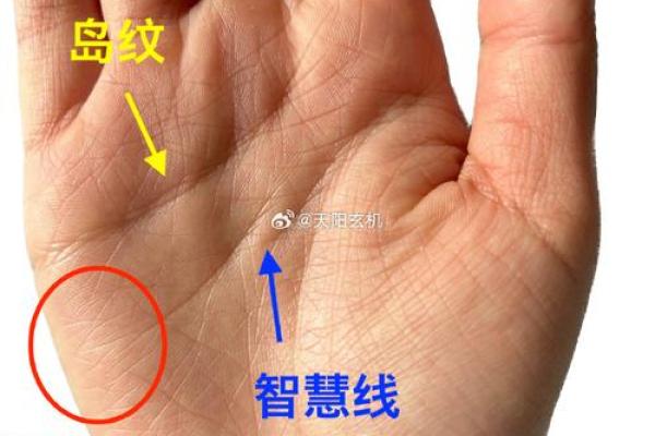 揭秘神奇手相：揭秘像眼睛的手相背后的神秘力量