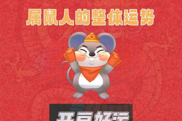 候跟鼠组合，2024年运势翻倍