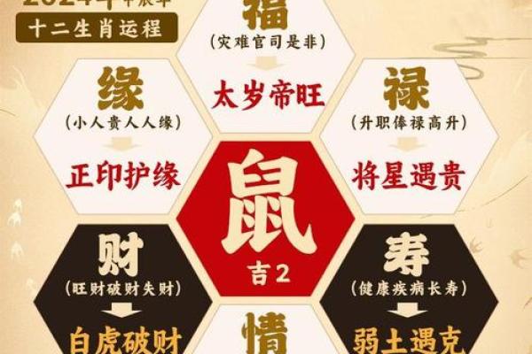 候跟鼠组合，2024年运势翻倍