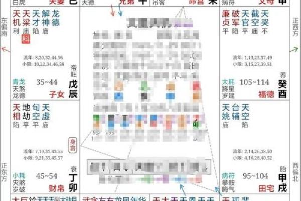 紫微斗数流日排盘APP助你精准预测每日运势