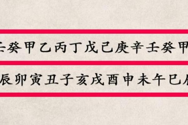 风水群猪下山，揭秘神秘风水秘籍