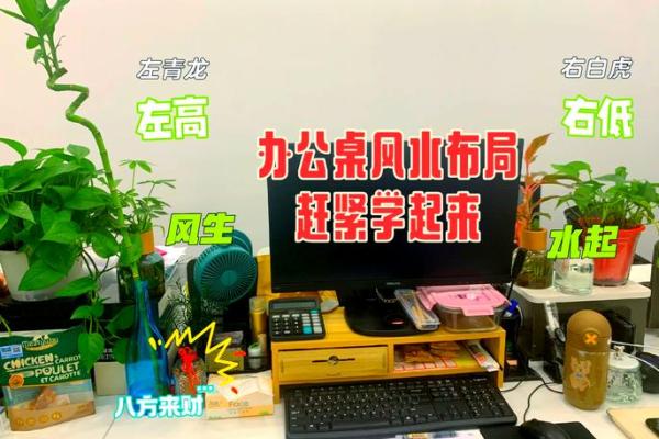 亚洲风水大师认证，揭秘家居风水秘籍，助你风生水起