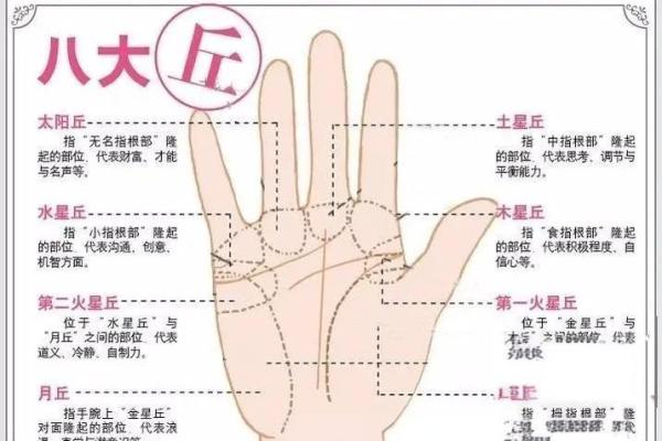 揭秘男手相婚姻秘密：左手还是右手？婚姻命运一触即发