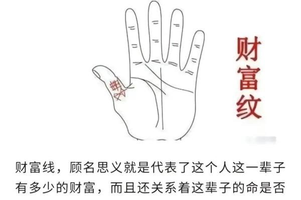 左手五线揭秘：手相奥秘，财运、健康、爱情全掌握