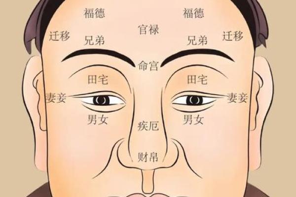 眉尾稀少，财运亨通：揭秘面相中的神秘密码