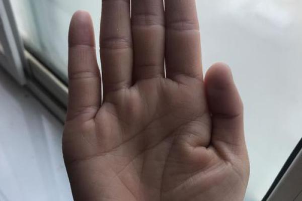 揭秘手相大师月入过万秘籍学会这一招，轻松赚钱不是梦