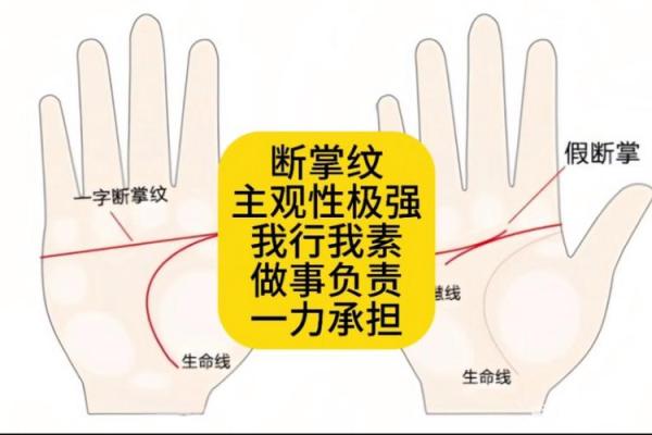 手相智慧线过长：揭秘预示着非凡智慧与远大前程的神秘线索