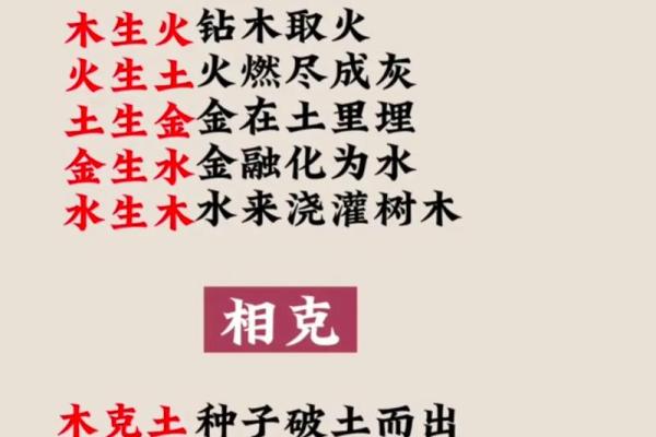 乙五行属性大揭秘，带你了解更多知识