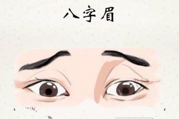 眉尾骨决定命运：揭秘面相中的神秘力量