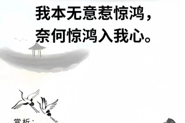 腹有诗书气自华，痣相彰显独特韵味