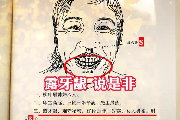 面相揭秘：一眼识人，揭秘成功者的神秘面相