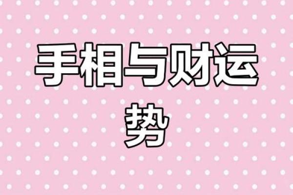手相奥秘：一册在手，财运亨通，运势翻倍