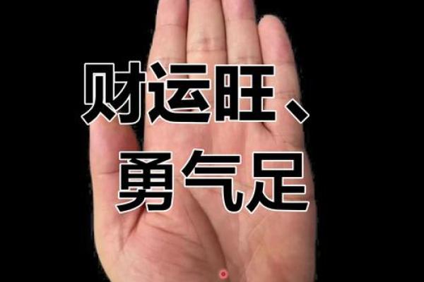手相奥秘：一册在手，财运亨通，运势翻倍