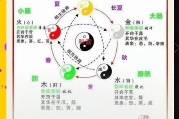 五行命理揭秘：你的命运与五行之间的神秘联系