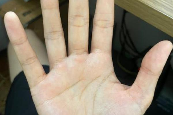 川字掌揭秘：女明星的运势密码，手相界的爆款秘密
