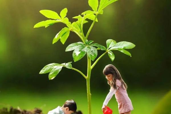 春风十里，植树节与你共植爱情树