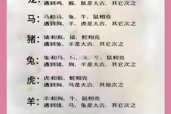 十二生肖大揭秘：揭秘每个生肖的禁忌与破解之道