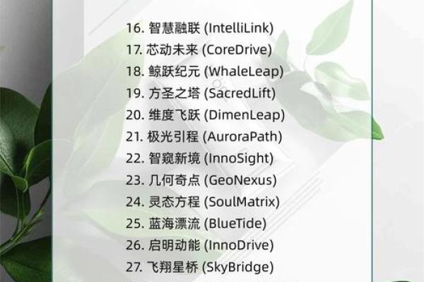 网络科技公司起名攻略，助你开创成功之路