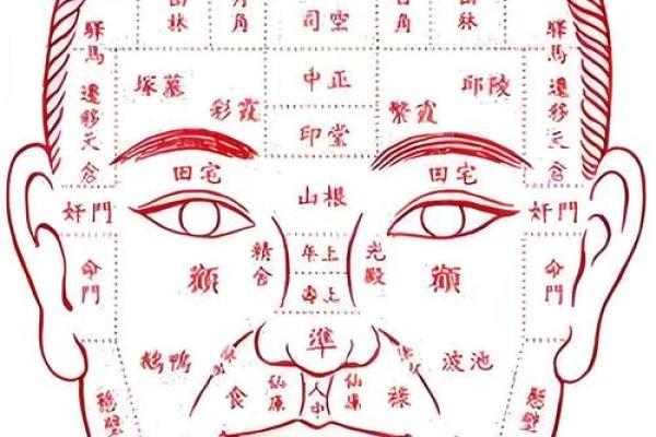 痣相杀子：面相学中的禁忌秘密大揭秘