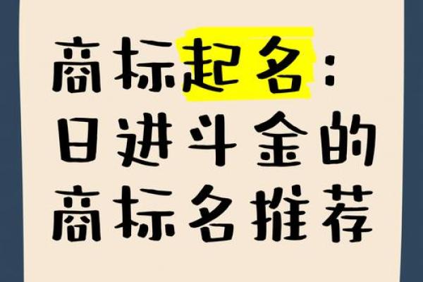 公司起名金：让你的品牌从名字开始闪耀