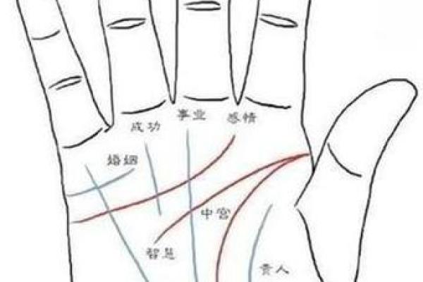 手相揭秘：一招看穿心脏病隐患，健康预警就在掌心