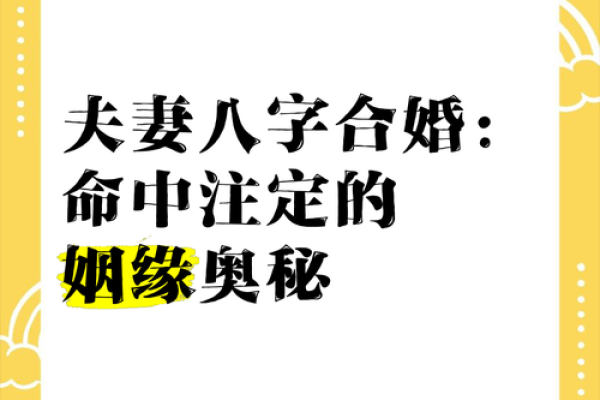 八字合婚揭秘：如何通过命理找到最佳伴侣？