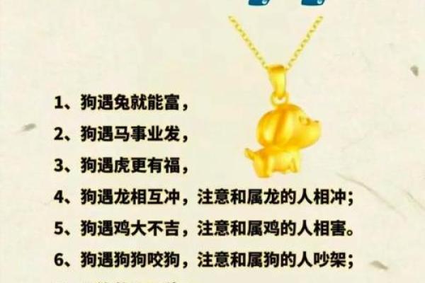 生肖情缘：87兔94狗，能否牵手？