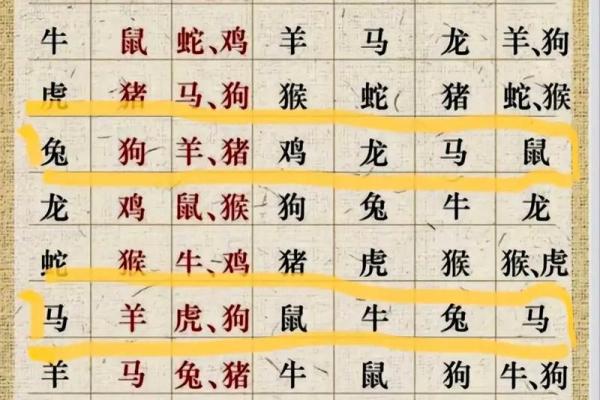 生肖情缘：87兔94狗，能否牵手？