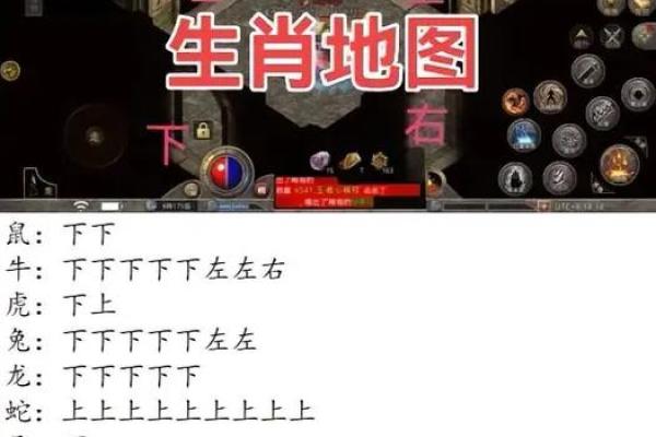 生肖豆传奇：十二生肖的神秘之旅