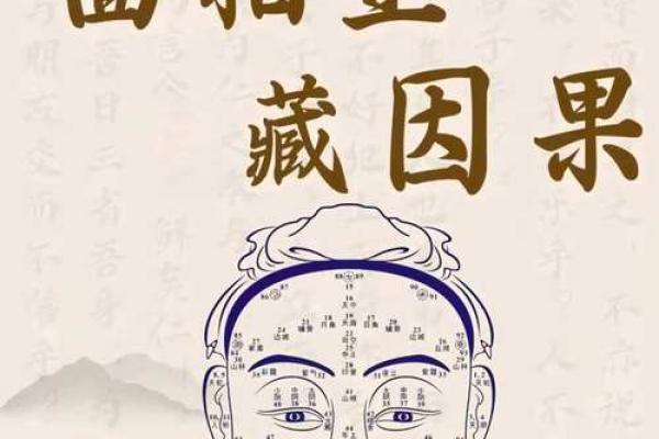 面相解析：揭秘面相背后的运势秘密