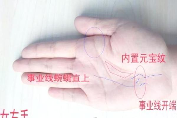 手相揭秘：一字手相，财运亨通的秘密