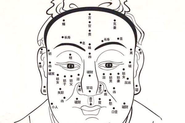 解码男性面相：揭秘成功与命运的神秘符号