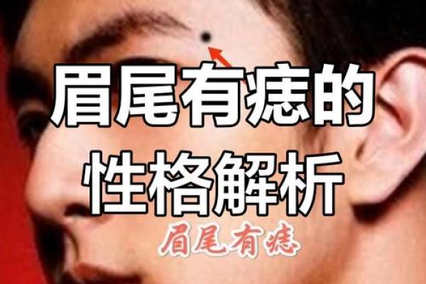 一眼识人，揭秘面相学的秘密揭秘明星、富豪的面相运势