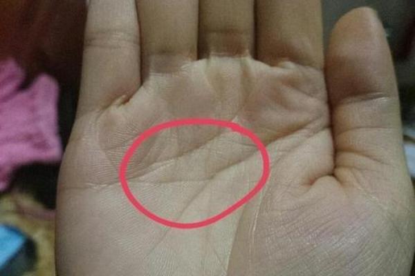 揭秘棺材纹手相：财运亨通的秘密，你占了几条？