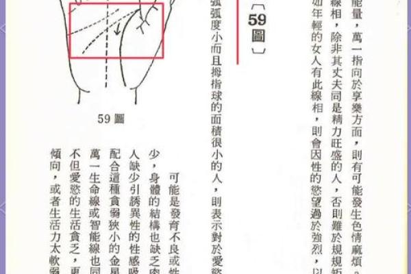 揭秘手相奥秘：一招掌握财运、健康、爱情，手相算命大全