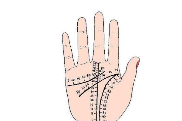 揭秘手相奥秘：一招掌握财运、健康、爱情，手相算命大全