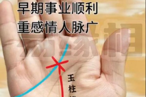 一指定乾坤揭秘手指长短差异背后的惊人手相秘密