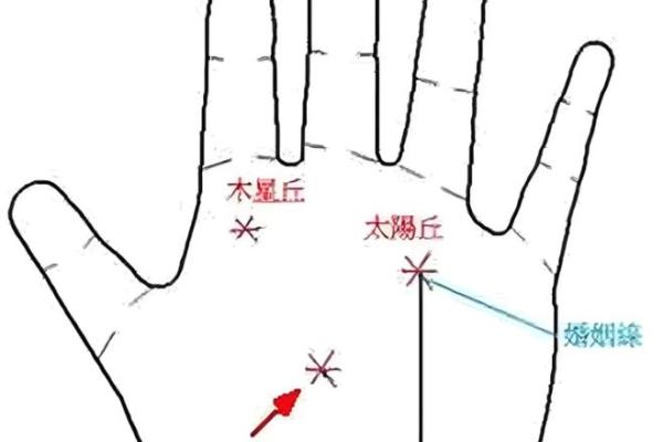 揭秘米粒和星纹手相的秘密，解锁你的运势密码