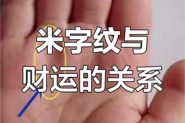 揭秘米粒和星纹手相的秘密，解锁你的运势密码